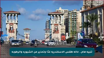 تنبيه هام.. حالة طقس الإسكندرية غدًا وتحذير من الشبورة والرطوبة